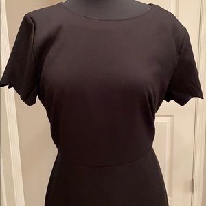NWT LOFT scalloped edge dress